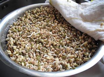生发绿豆芽的做法步骤12
