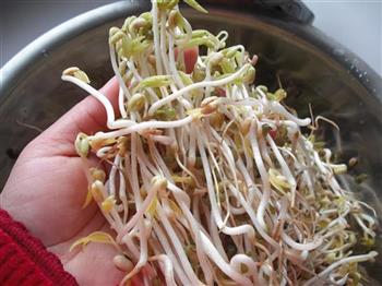 生发绿豆芽的做法步骤17