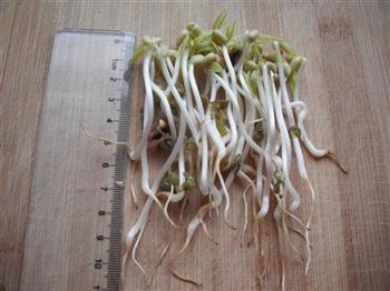生发绿豆芽的做法步骤19