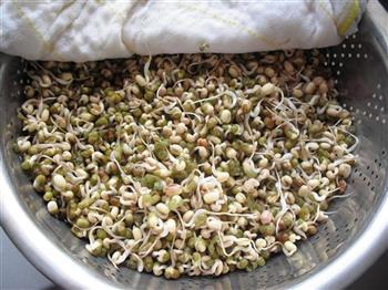 生发绿豆芽的做法步骤9