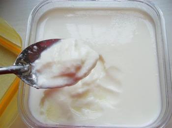 自制老酸奶的做法图解7