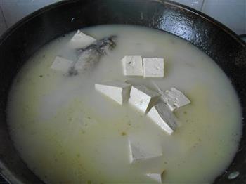 鲫鱼豆腐汤的做法步骤7