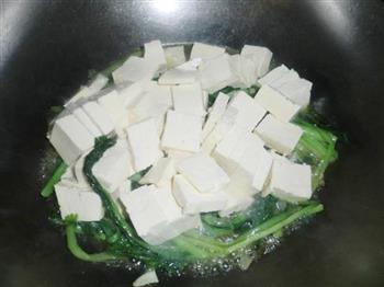 小白菜炖豆腐的做法图解6
