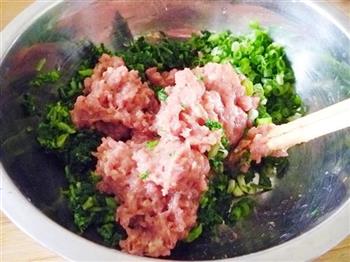 芥菜鲜肉大馄饨的做法步骤9