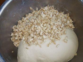 中种燕麦面包的做法步骤4