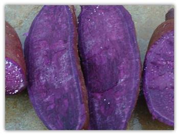 三色紫薯乌冬面的做法步骤1