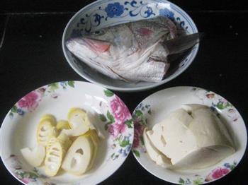 春笋豆腐鲈鱼头汤的做法步骤1