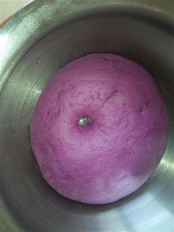 紫薯玉米面馒头的做法步骤5