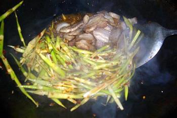 小竹笋回锅肉的做法步骤11