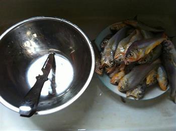 荠菜黄鱼春卷的做法步骤1