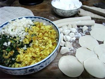 茴香鸡蛋饺子的做法步骤4