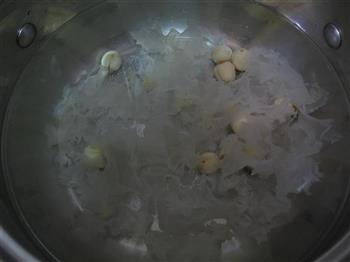 木瓜银耳莲子汤的做法步骤5