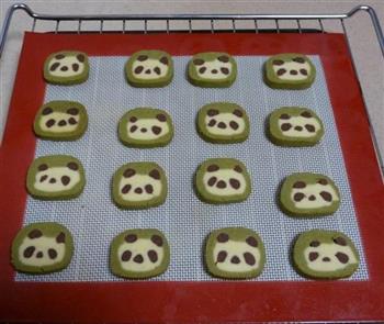 熊猫饼干的做法步骤15