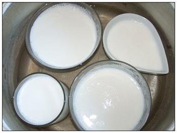 青海老酸奶的做法步骤4
