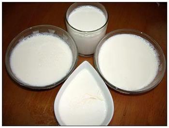 青海老酸奶的做法步骤5