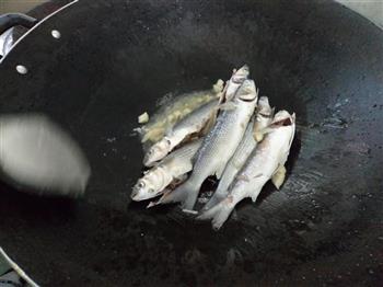清焖咸水白鱼的做法图解4