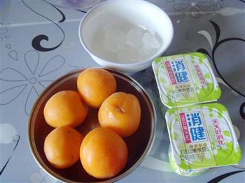 酸奶杏子冰的做法图解1