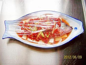 葱姜剁椒蒸鲈鱼的做法步骤4