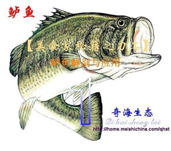 葱姜剁椒蒸鲈鱼的做法步骤7