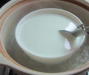 顺德姜撞奶的做法步骤4