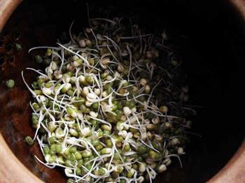 砂锅生绿豆芽的做法图解5
