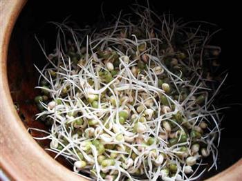 砂锅生绿豆芽的做法步骤6