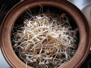 砂锅生绿豆芽的做法步骤8