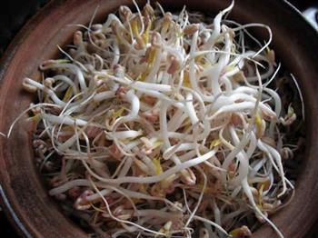 砂锅生绿豆芽的做法步骤9