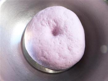紫薯双色馒头卷的做法步骤4