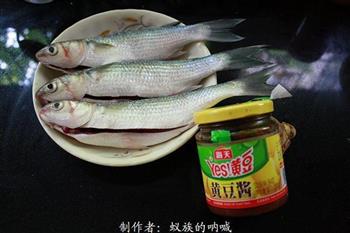 黄豆酱焖乌头鱼的做法图解1