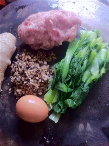 菜肉煎饺的做法步骤3