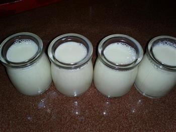自制老酸奶的做法步骤4