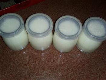 自制老酸奶的做法步骤5