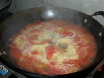 西红柿蛋汤的做法步骤8