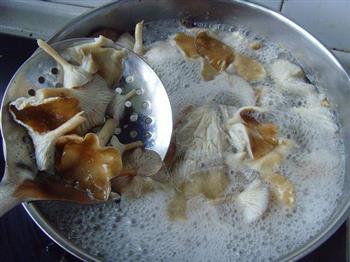 山蘑猪肉饺的做法图解4
