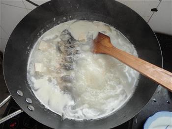鯽魚豆腐湯的做法步驟7