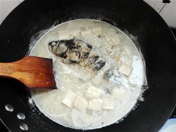 鯽魚豆腐湯的做法步驟8