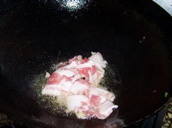 干锅手撕包菜的做法步骤5