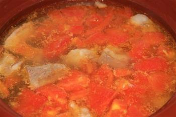 番茄炖排骨汤的做法图解6