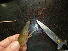 红烧基围虾的做法图解3