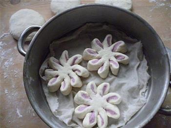 紫薯花馒头的做法图解11