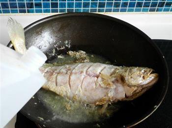 家常烧大黄鱼的做法步骤5