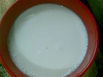 木瓜椰奶冻的做法步骤2
