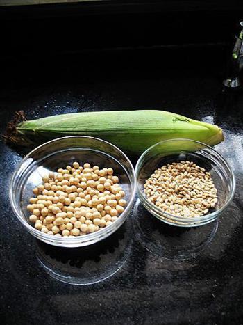 玉米小麦豆浆的做法图解1