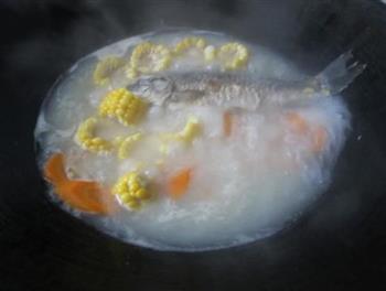 胡萝卜玉米鲫鱼汤的做法图解12