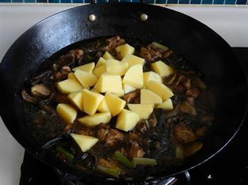 黄菇土豆烧鸡块的做法步骤16