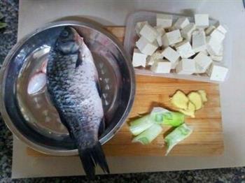 鲫鱼炖豆腐的做法步骤2