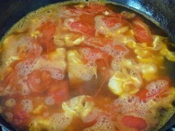西红柿鸡蛋汤面的做法步骤7