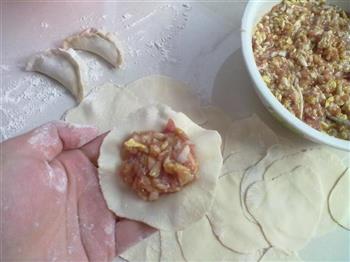 白菜猪肉水饺的做法步骤12