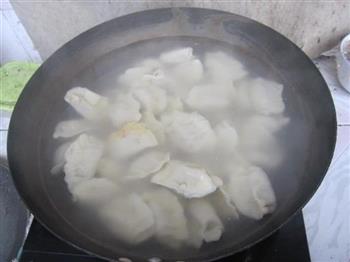 胡萝卜羊肉饺子的做法步骤11